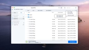 easeus data recovery filtering by file type