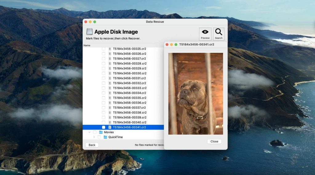 Data Rescue Mac Data Rescue for Mac Review - Has It Aged Like Wine or Milk? (2025)