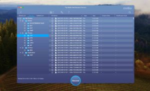 stellar data recovery tree view mode