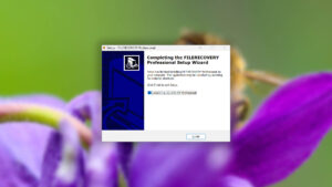 filerecovery 2022 professional setup step 5
