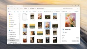 Files recovered using Puran File Recovery